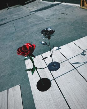 Eternal Steel Roses